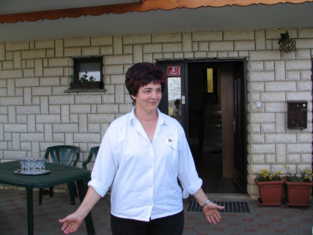 Toni - foto