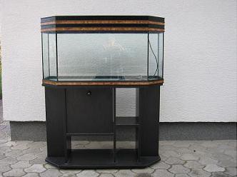 AKVARIJ - foto povečava