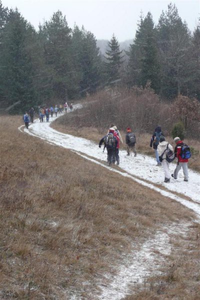 Slivnica 2007 - foto povečava