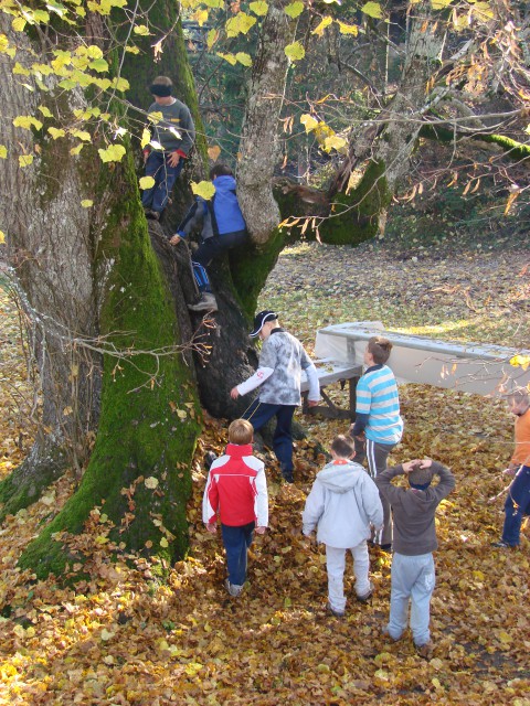 Kostnjev piknik na Vodiški planini 2008/09 - foto