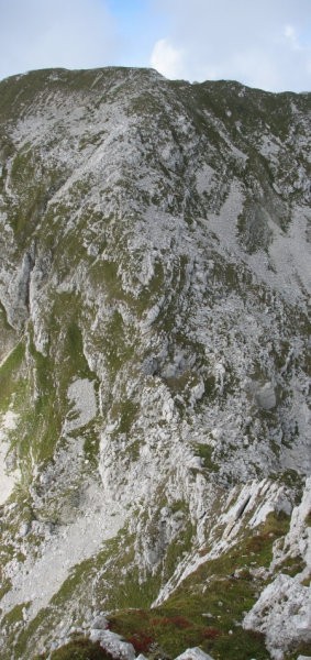 Strm pogled z Vršaca na škrbino med Vršacem in Travnikom.