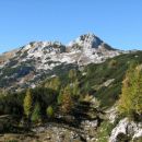 Tičarici. 