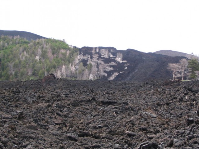 Junij 2007, pod Etno