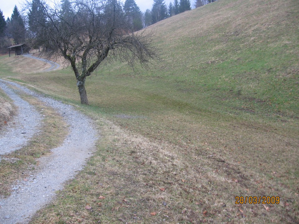 Brananje - foto povečava