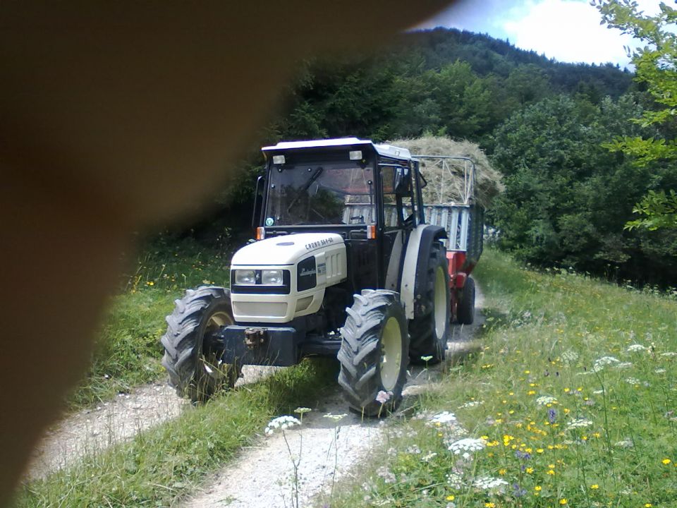 Košnja 2011 - foto povečava