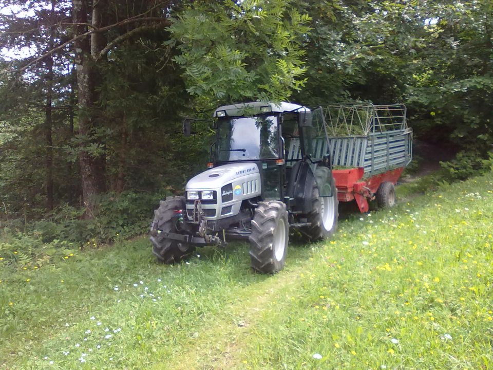 Košnja 2011 - foto povečava