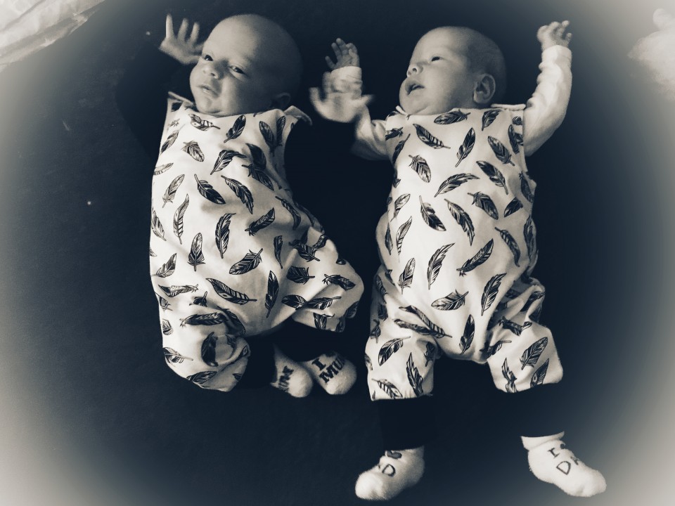 Twins  - foto povečava
