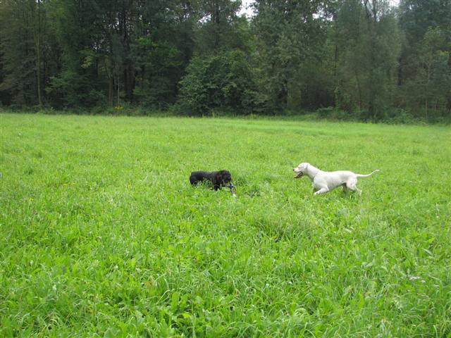 Sprehod Chuck in Bini(TibiQ) - foto povečava