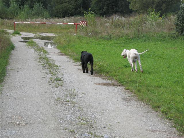 Sprehod Chuck in Bini(TibiQ) - foto povečava