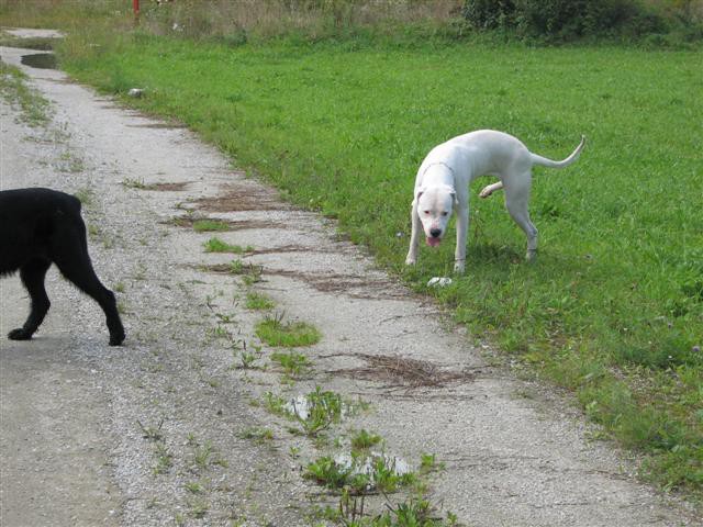 Sprehod Chuck in Bini(TibiQ) - foto povečava