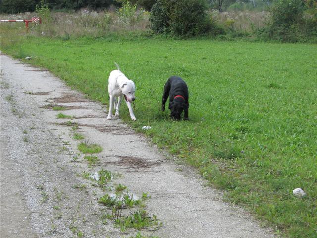 Sprehod Chuck in Bini(TibiQ) - foto povečava