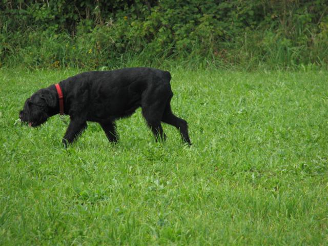 Sprehod Chuck in Bini(TibiQ) - foto povečava