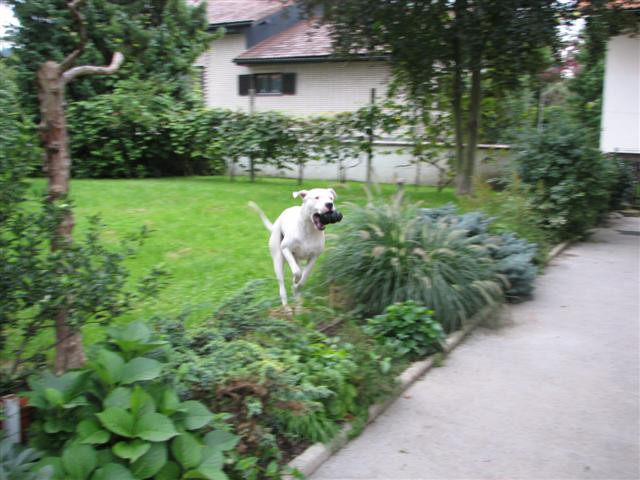 Sprehod Chuck in Bini(TibiQ) - foto povečava