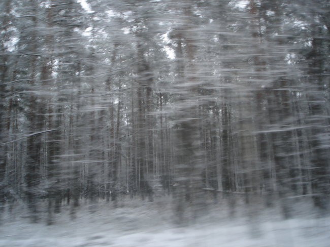 Sylwester - foto povečava