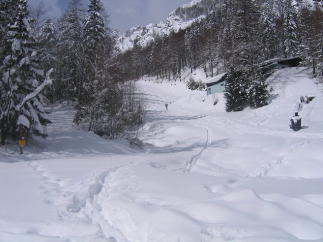 Sneg marec - foto