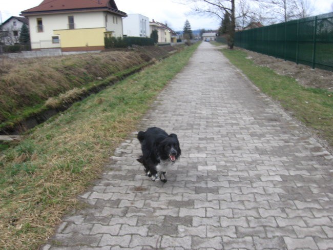 Abby friends - foto povečava