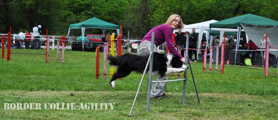 Cac Barje 2010 - foto povečava