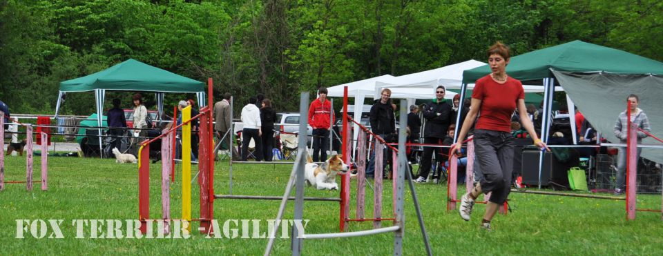 Cac Barje 2010 - foto povečava