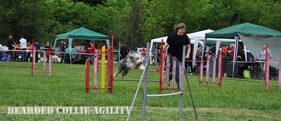 Cac Barje 2010 - foto povečava