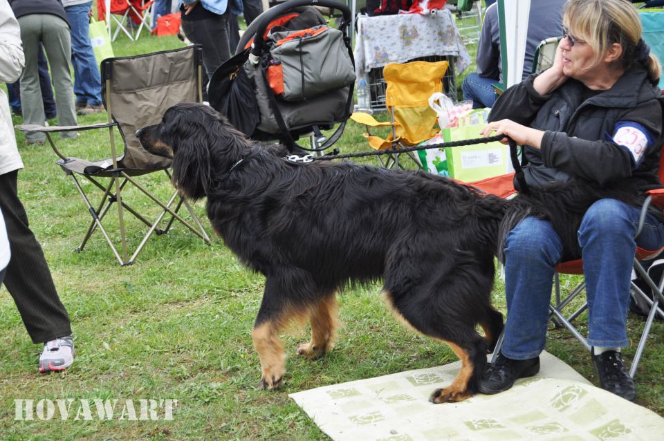 Cac Barje 2010 - foto povečava