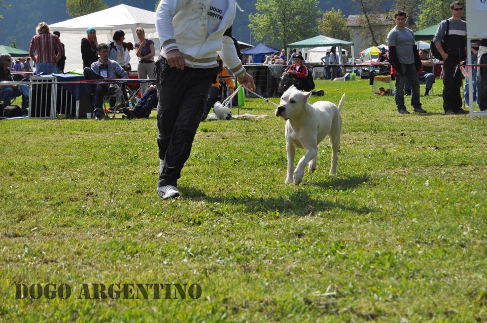 Cac Barje 2010 - foto povečava