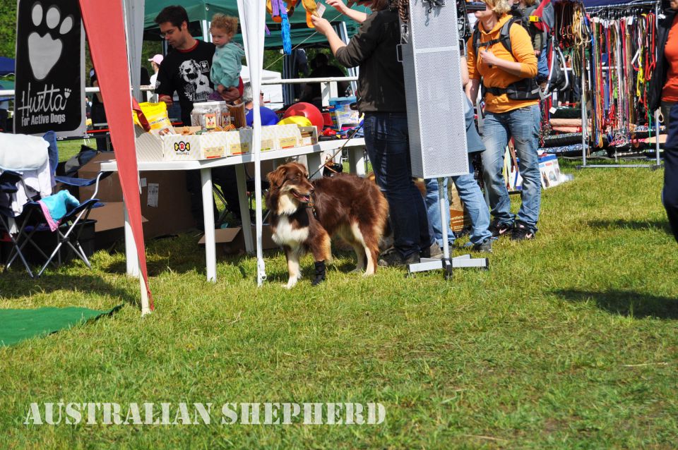 Cac Barje 2010 - foto povečava