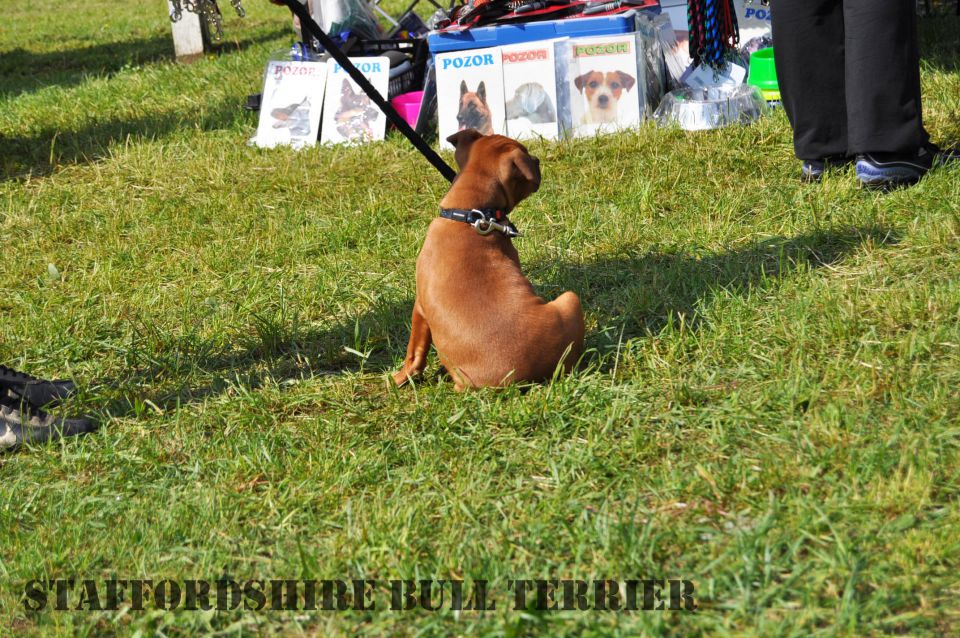 Cac Barje 2010 - foto povečava