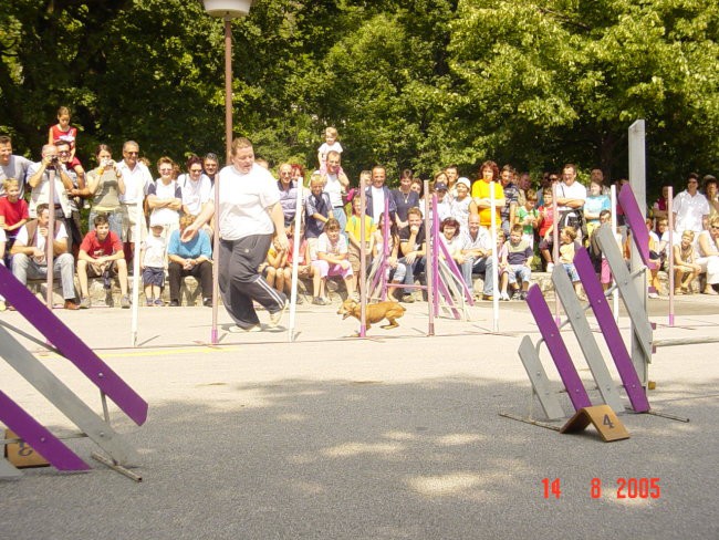 FURMANSKI PRAZNIK, avgust 2005 - foto povečava
