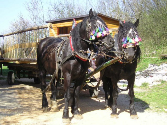 Piknik Dolenja Vas Cerknica 14.04.2007 - foto