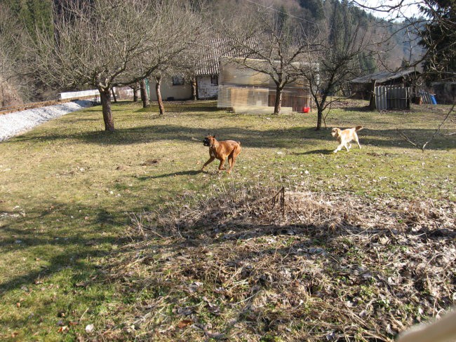 09.02.2008 - foto povečava