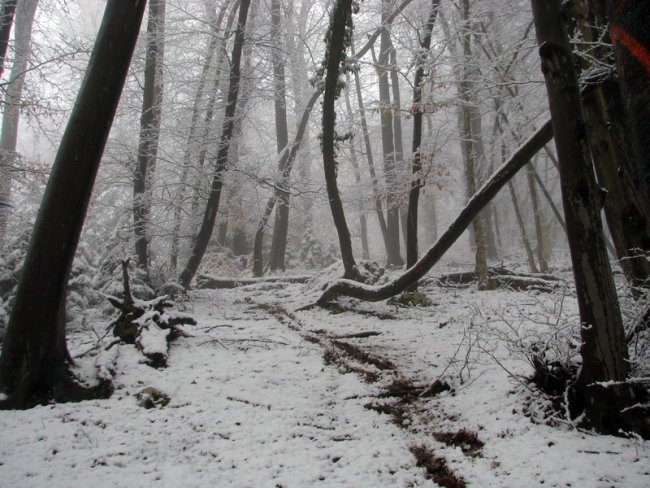 Drsalnica po lovski poti navzdol