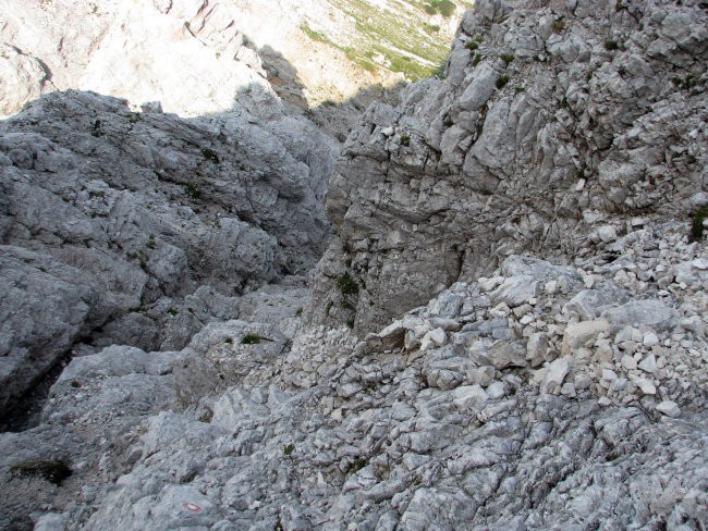 Mrzla gora - 2.8.2008 - foto povečava