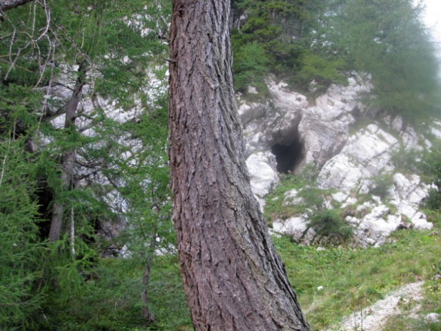 Skuta čez Žmavcarje - 30.8.2008 - foto