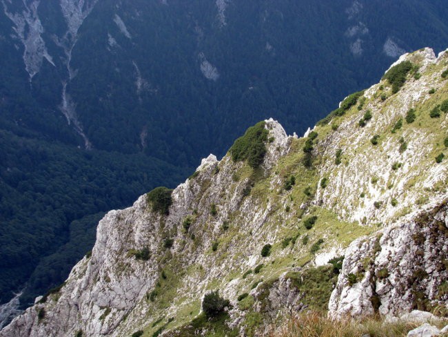 Pogled nazaj