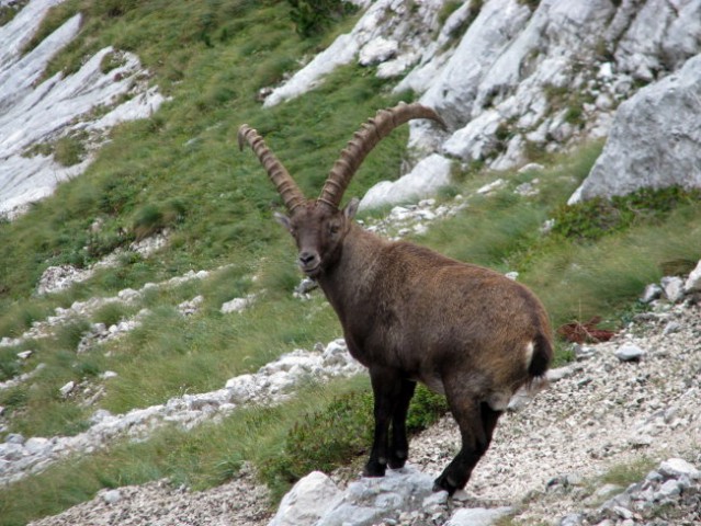 Turska gora čez Žmavcarje - 27.9.2008 - foto