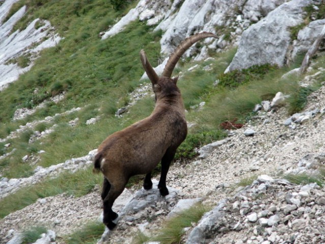 Turska gora čez Žmavcarje - 27.9.2008 - foto