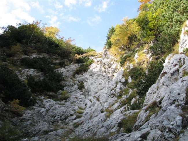 Kamniško sedlo - Šija Brane - Bosova grapa -  - foto povečava