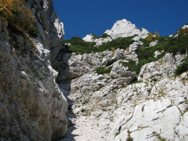 Kamniško sedlo - Šija Brane - Bosova grapa -  - foto