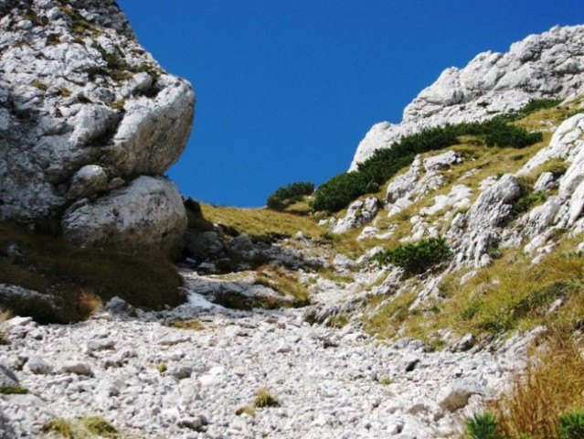 Kamniško sedlo - Šija Brane - Bosova grapa -  - foto