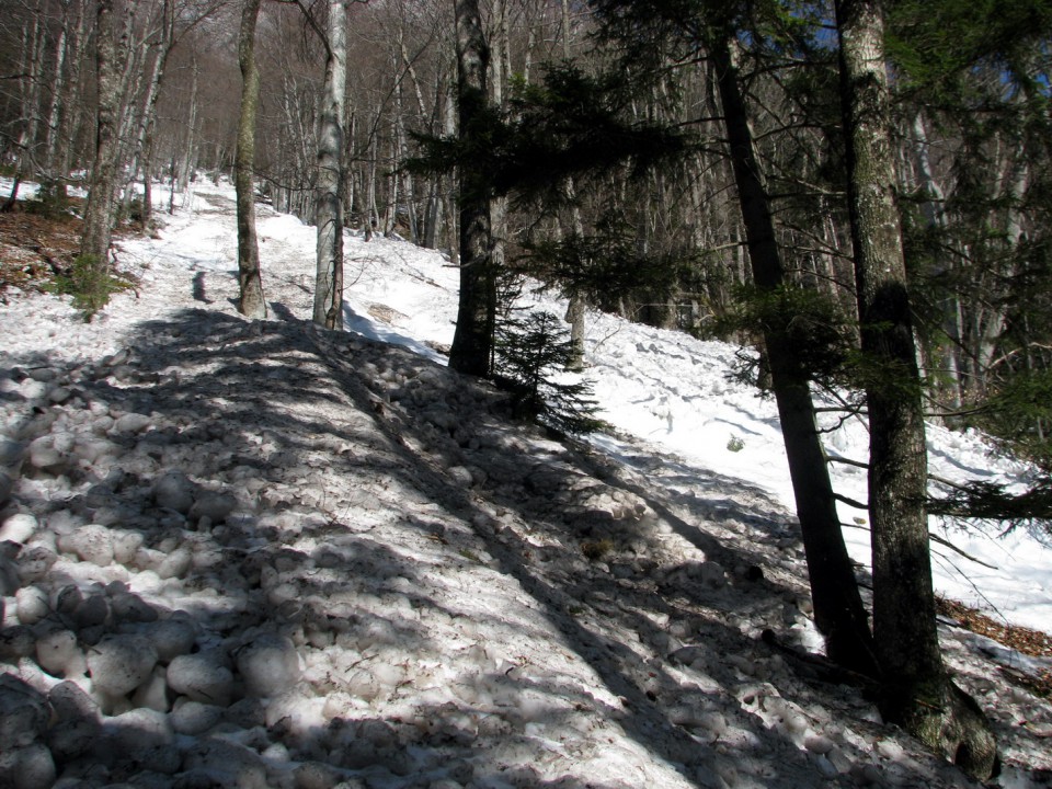 Eden od plazov na poti iz Kamniške Bistrice proti Kamniškem sedlu.