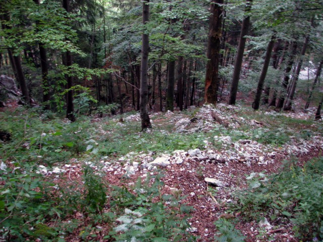 Pot čez Žmavcarje se v gozdu takoj začne strmo dvigati.