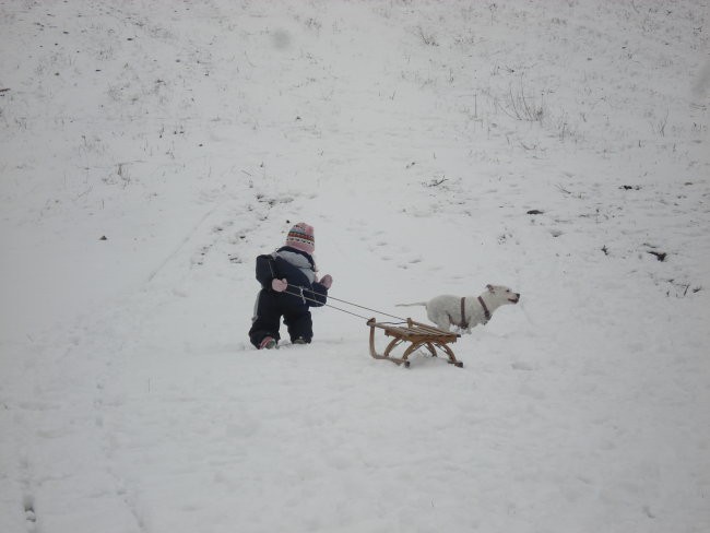 LOLA NA SNEGU - foto povečava