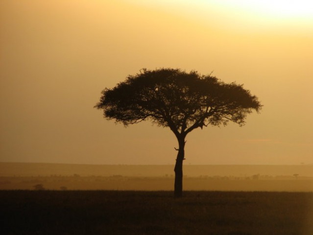 Afrika2'009 - foto