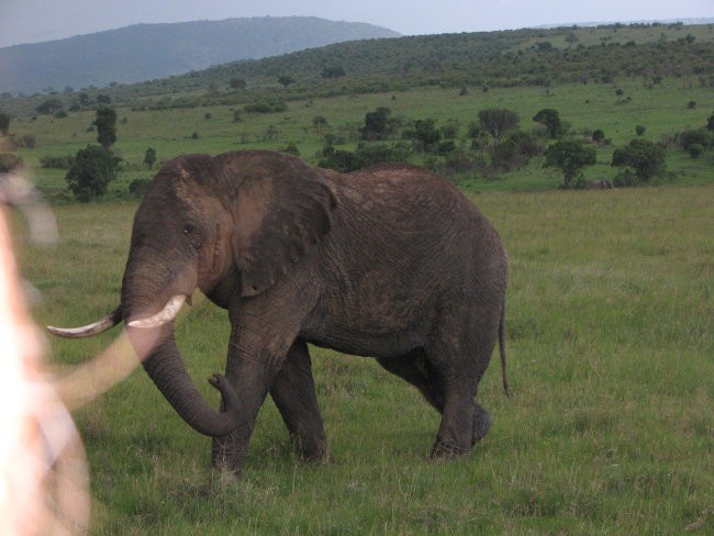Afrika2'009 - foto povečava