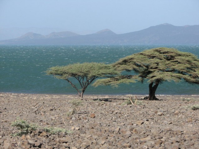 Jezero Turkana
