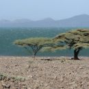 Jezero Turkana