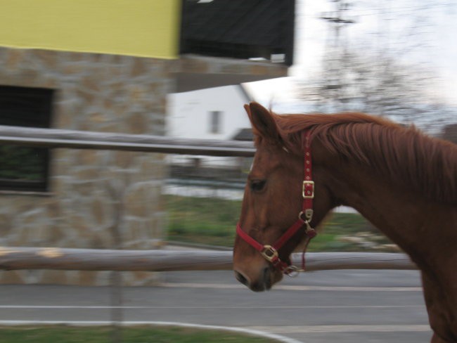 Naše babnce - foto povečava