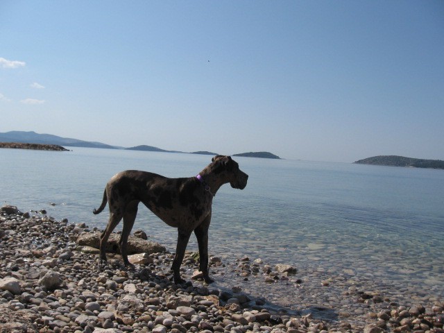 Goochie na morju maj 2008 - foto