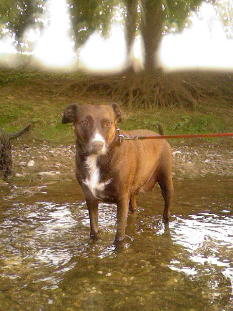 Moja boni - foto povečava