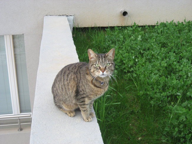 Liza...lepi ucki ane.xD